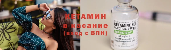 прущие грибы Балахна
