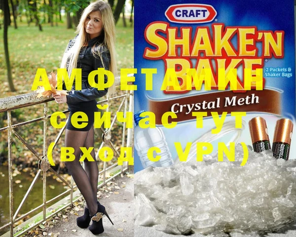 прущие грибы Балахна