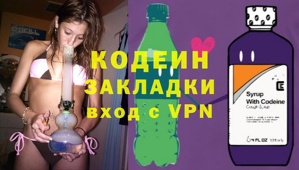 шишки Баксан